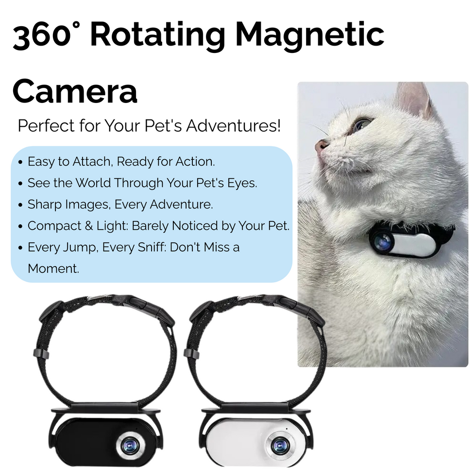 Pet Collar Camera HD 1080P