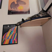Thumbnail for Wall-Mounted Cat Furniture with Solid Wood Cat Bed and Wide Climbing Steps for Indoor Cats