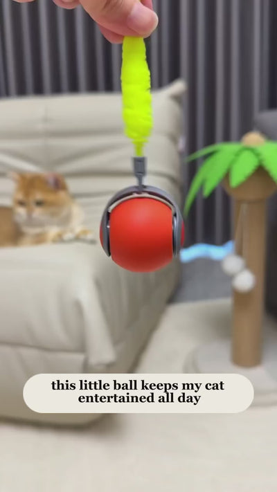 shopgracias-app-videos