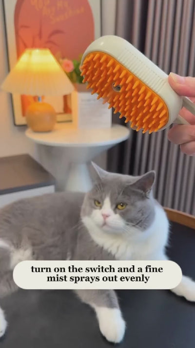 shopgracias-app-videos