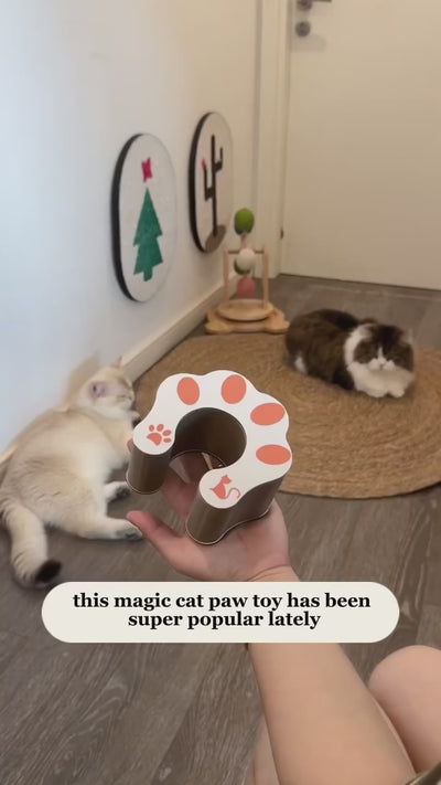 shopgracias-app-videos